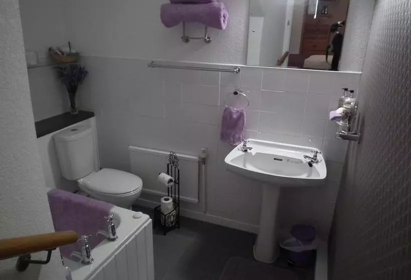 Bwlch Y Fedwen Bed And Breakfast