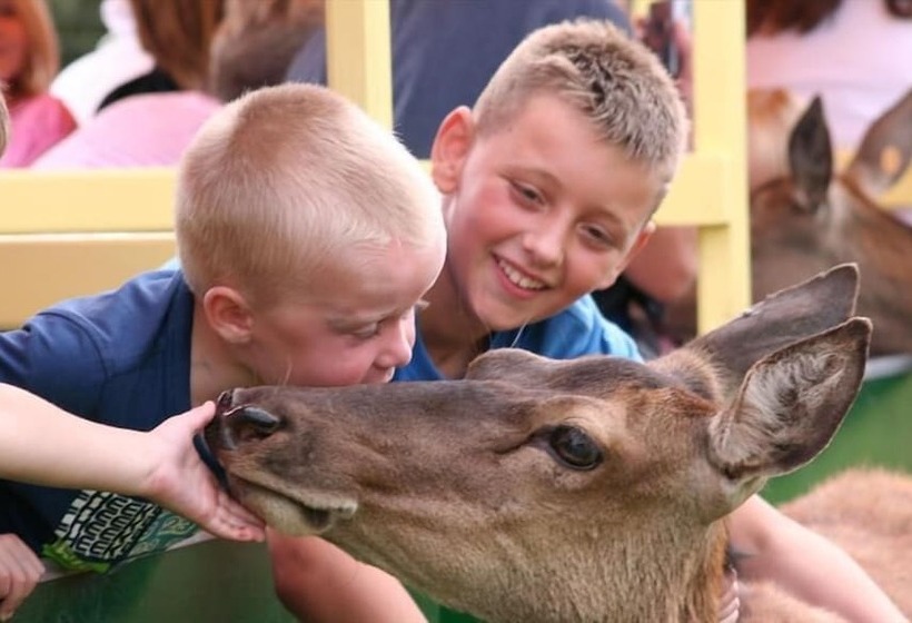 בית מלון כפרי Ashton Court