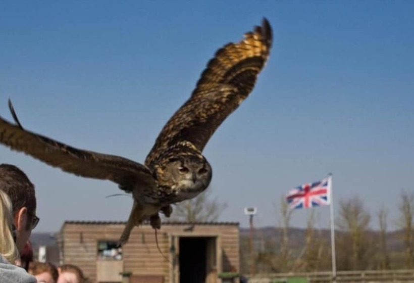 בית מלון כפרי Ashton Court