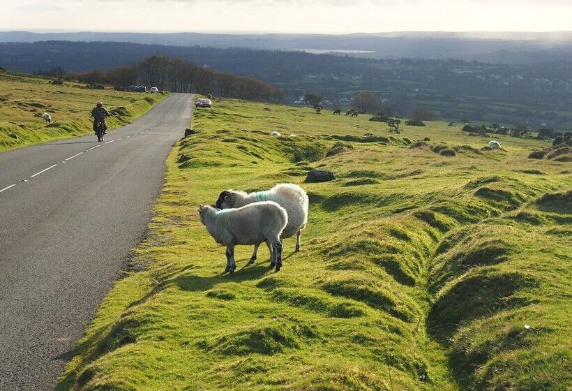 בית מלון כפרי Ashton Court