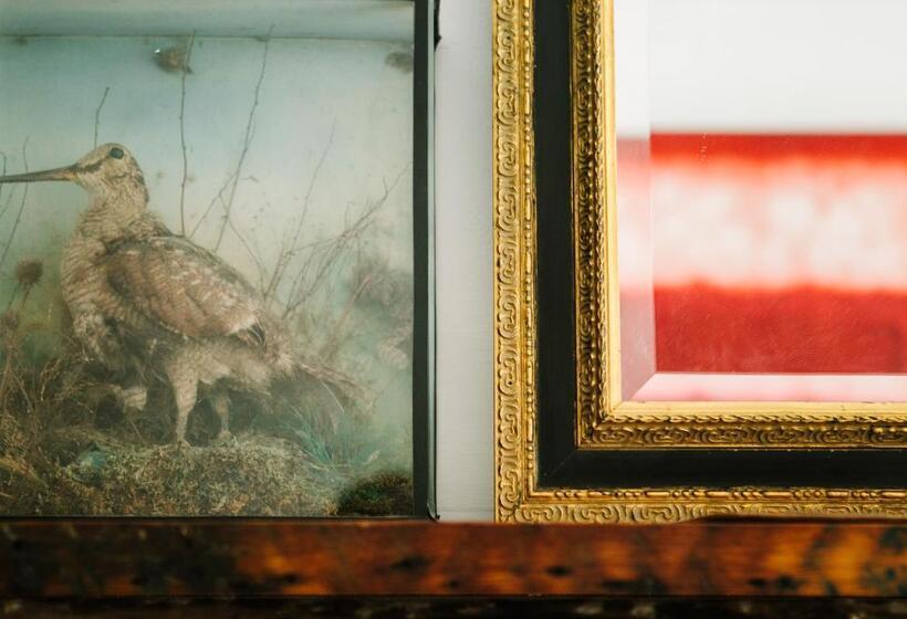 Отель Suie Hunting Lodge