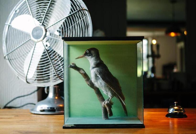 Отель Suie Hunting Lodge