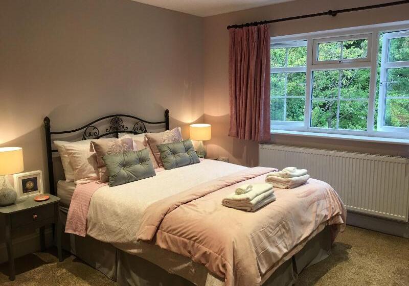 Leafy Suburban Bed And Breakfast