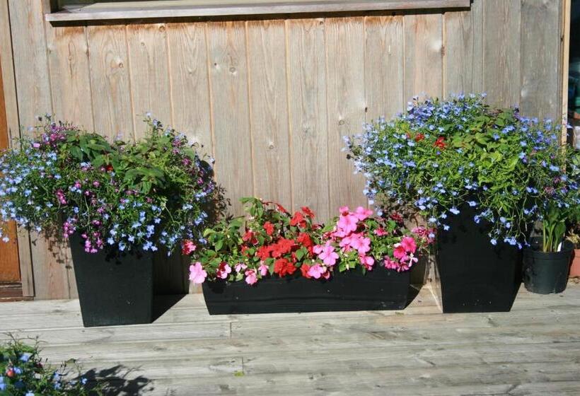 School House Cottage B&b And Tea Garden