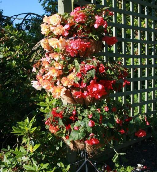 School House Cottage B&b And Tea Garden