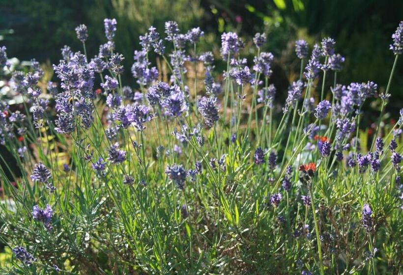 School House Cottage B&b And Tea Garden