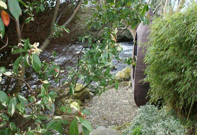 Talybont Bed And Breakfast