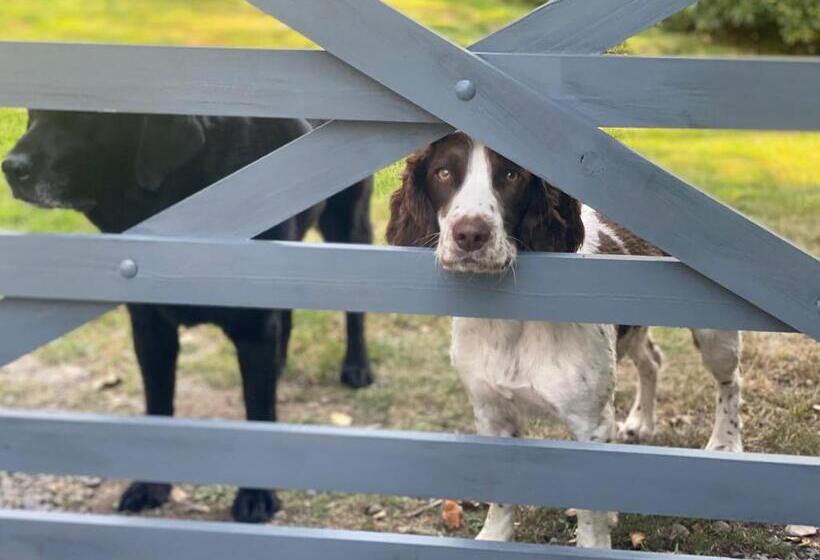 Talybont Bed And Breakfast