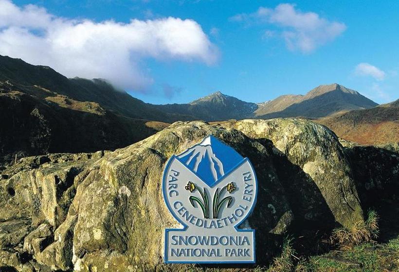 مبيت وإفطار Bryn Derw