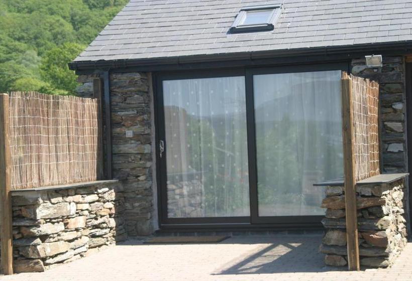 مبيت وإفطار Bryn Derw