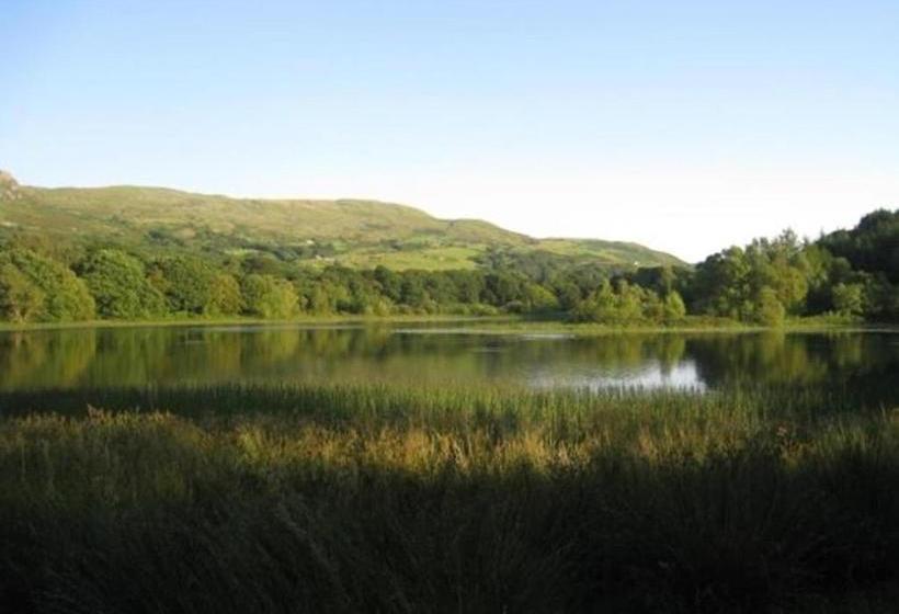 مبيت وإفطار Bryn Derw