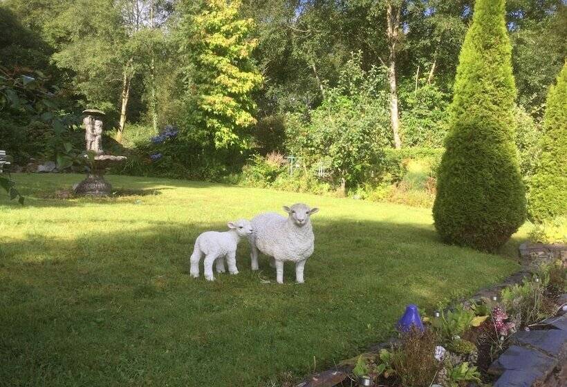 تختخواب و صبحانه Five Oaks