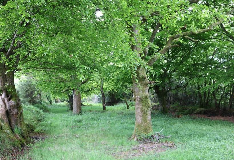 تختخواب و صبحانه Five Oaks