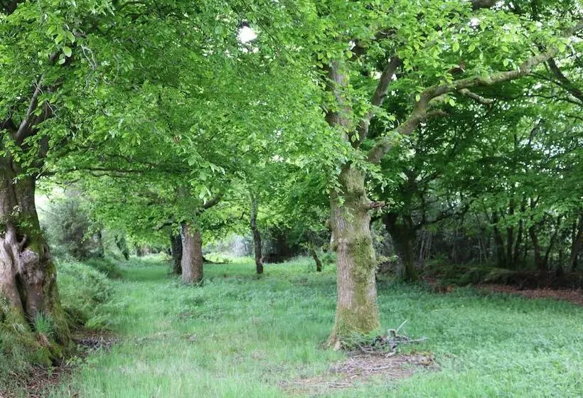 تختخواب و صبحانه Five Oaks