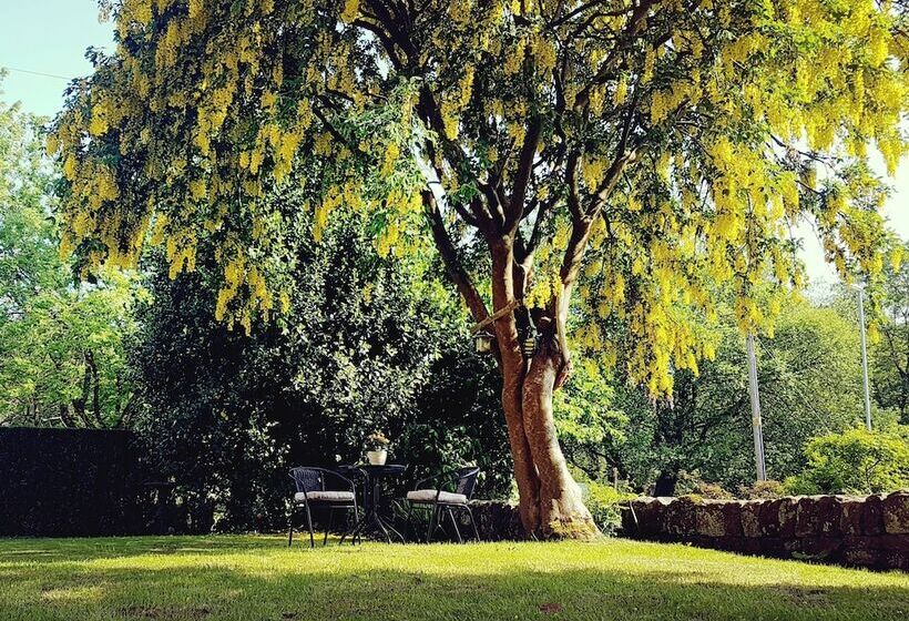 住宿加早餐  The Beehive Guest House