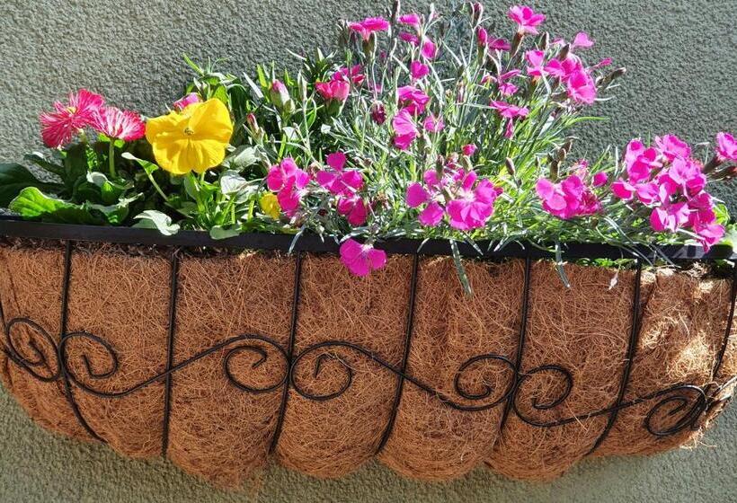 ベッドアンドブレックファースト The Court House Inn