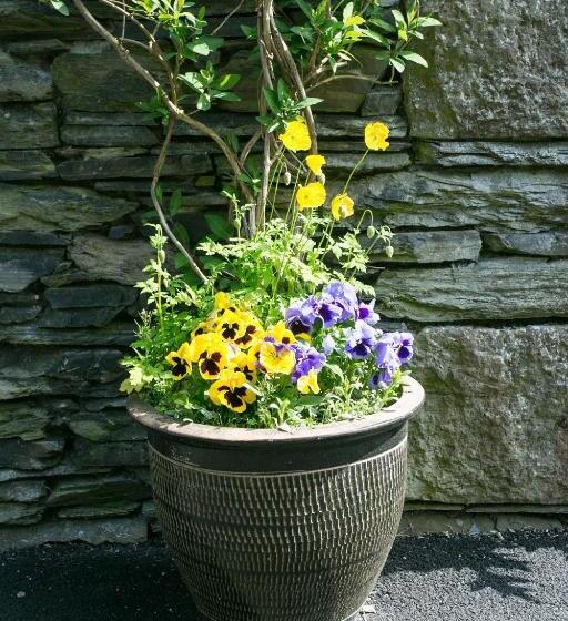 住宿加早餐  The Haven