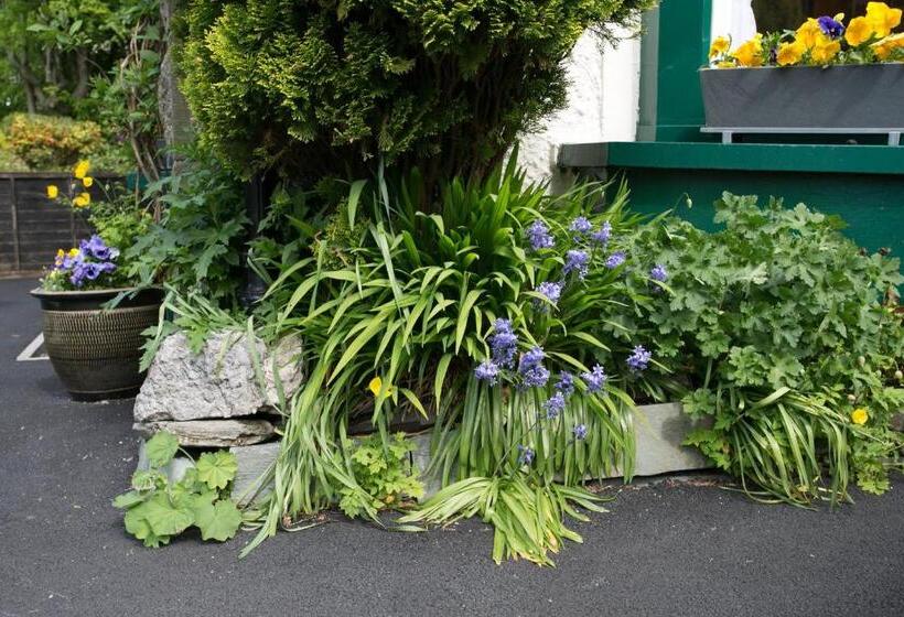 住宿加早餐  The Haven