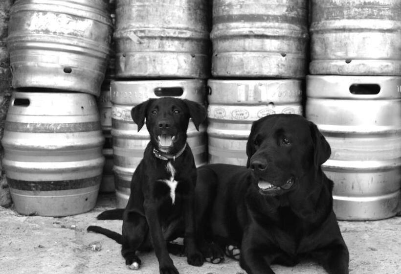 Bed and Breakfast The Maltsters Arms