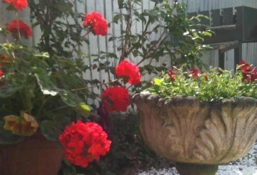 Diana S Bed And Breakfast