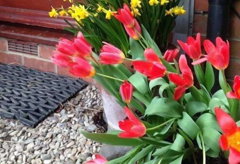 Diana S Bed And Breakfast