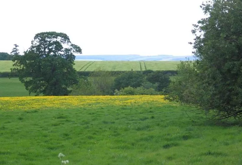 High Rigg B&b