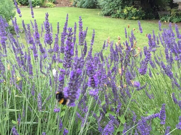 ホテル Hickman Hill