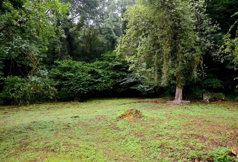 Ladywood House Bed And Breakfast