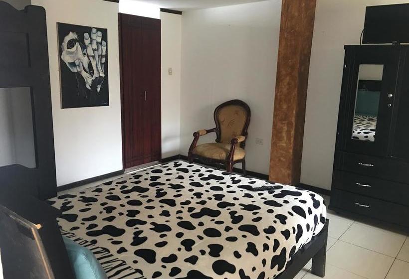 فندق صغير The Backpacker Hostal