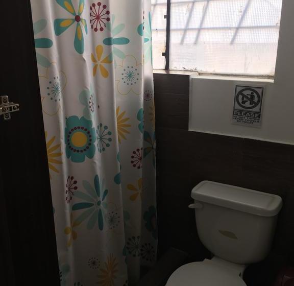 فندق صغير The Backpacker Hostal