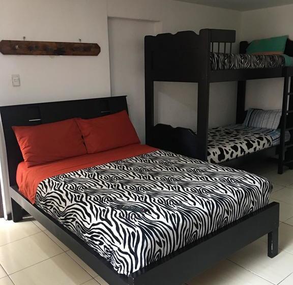 فندق صغير The Backpacker Hostal