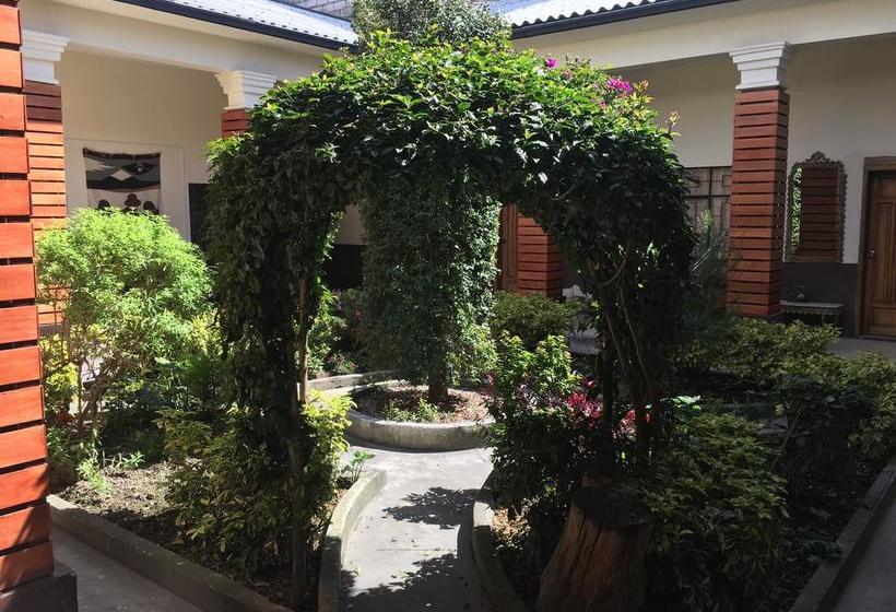 فندق صغير The Backpacker Hostal