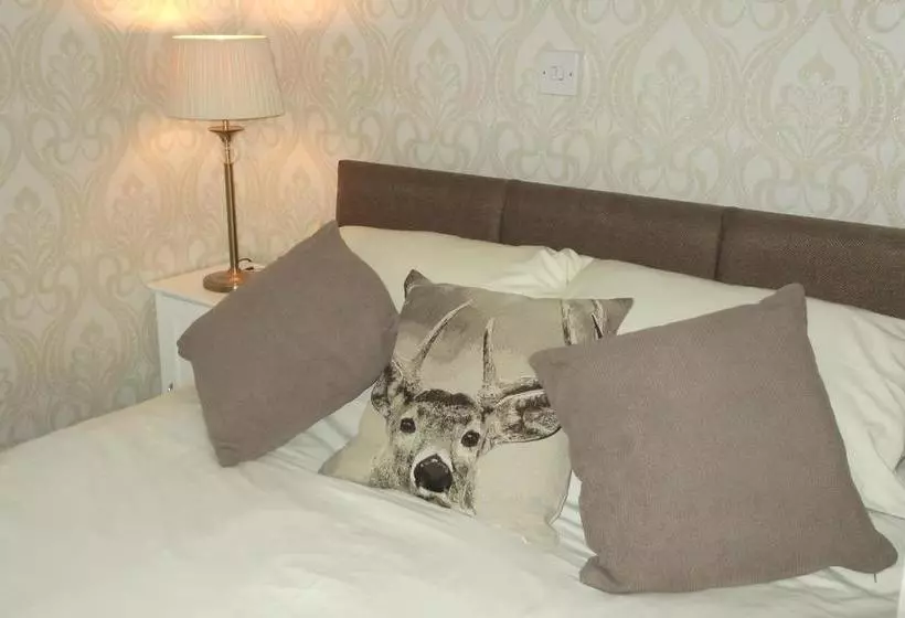 تختخواب و صبحانه Kirkcroft Guest House