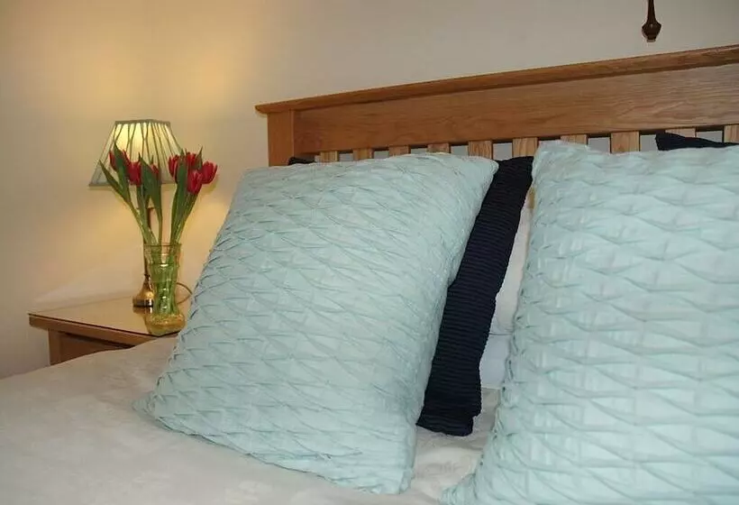Bed and Breakfast Newcourt Barton