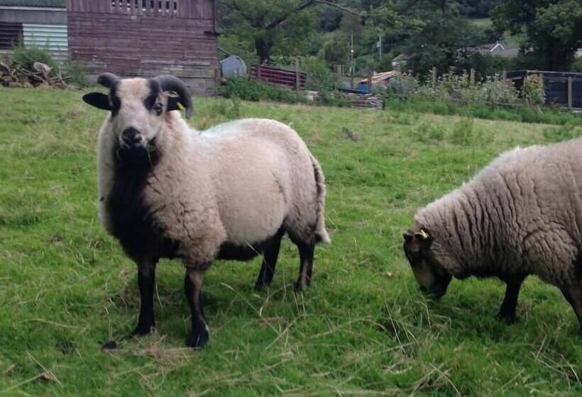 ホテル Penybryn Cottages