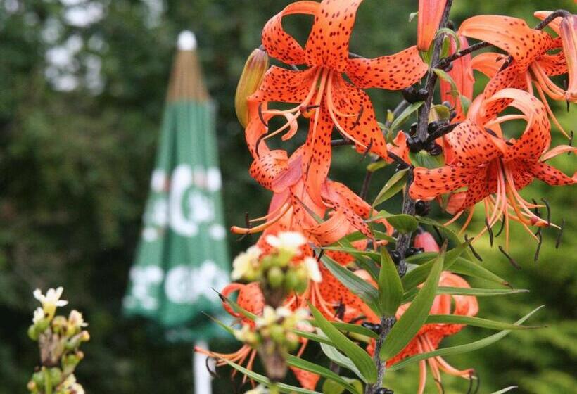 בית מלון כפרי The Brantwood