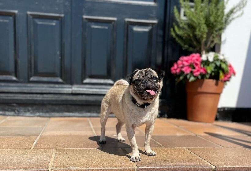 בית מלון כפרי The Sandgate