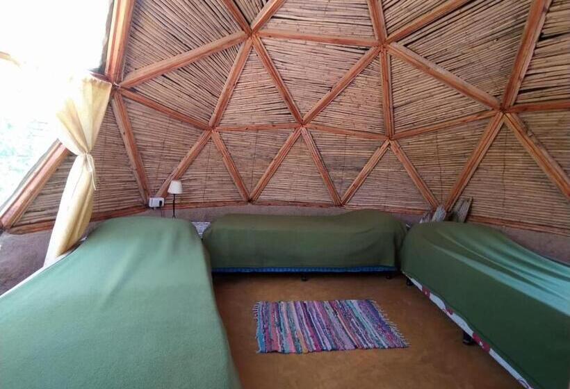 Herberge Casa Arbol Domos