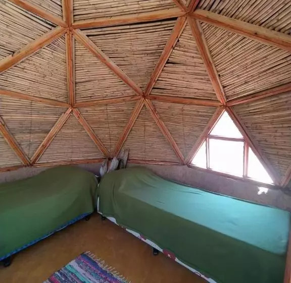 ユースホステル Casa Arbol Domos