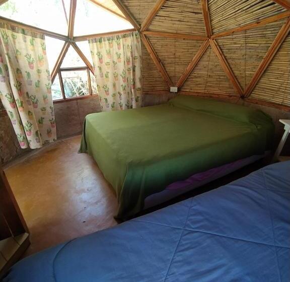 Herberge Casa Arbol Domos