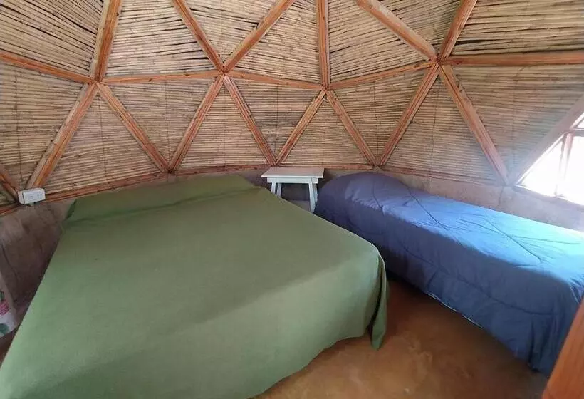 ユースホステル Casa Arbol Domos