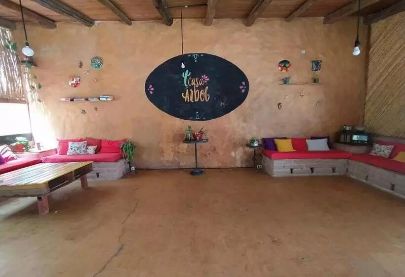 ユースホステル Casa Arbol Domos
