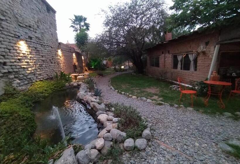 Herberge Casa Arbol Domos