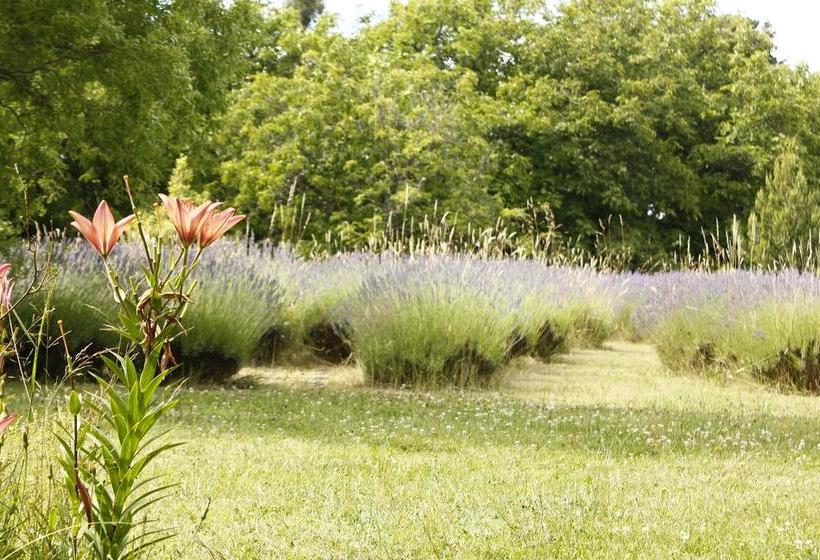 ユースホステル Huala Hosteria