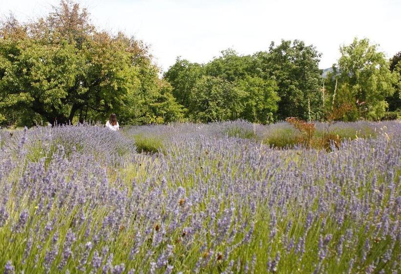 ユースホステル Huala Hosteria