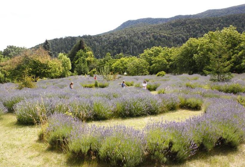 ユースホステル Huala Hosteria