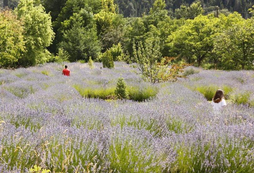 ユースホステル Huala Hosteria