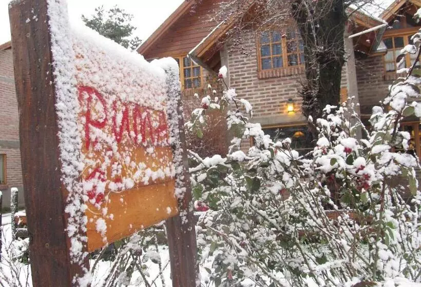 Puma Hostel