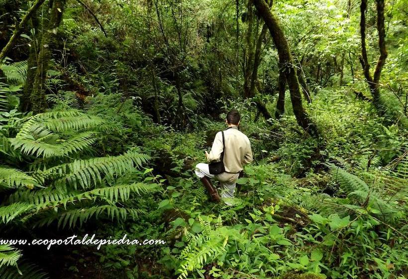 Резиденция Portal De Piedra