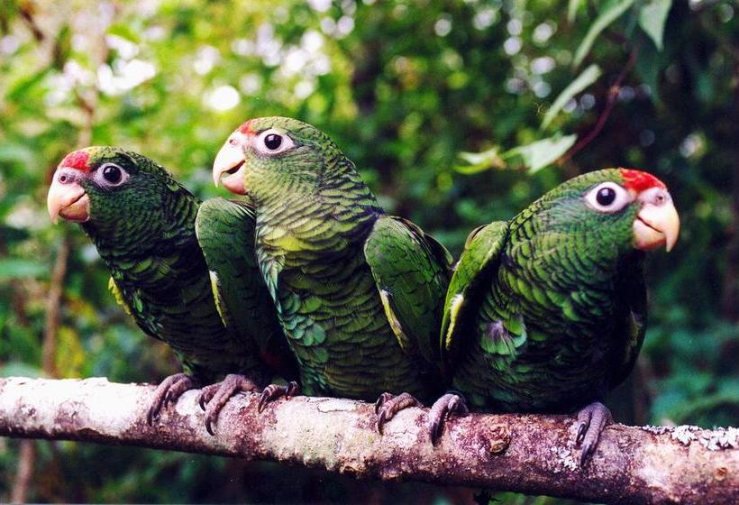 Резиденция Portal De Piedra